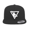 Snowboarder Geometry Embroidered Flat Bill Cap