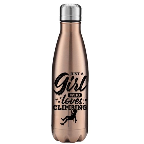 Climbing Just A Girl Who Loves Climbing 17oz Stainless Water Bottle