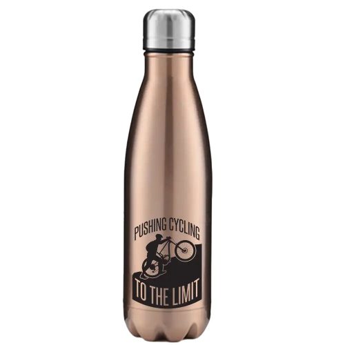 Pushing Cycling To The Limit 17oz Stainless Water Bottle